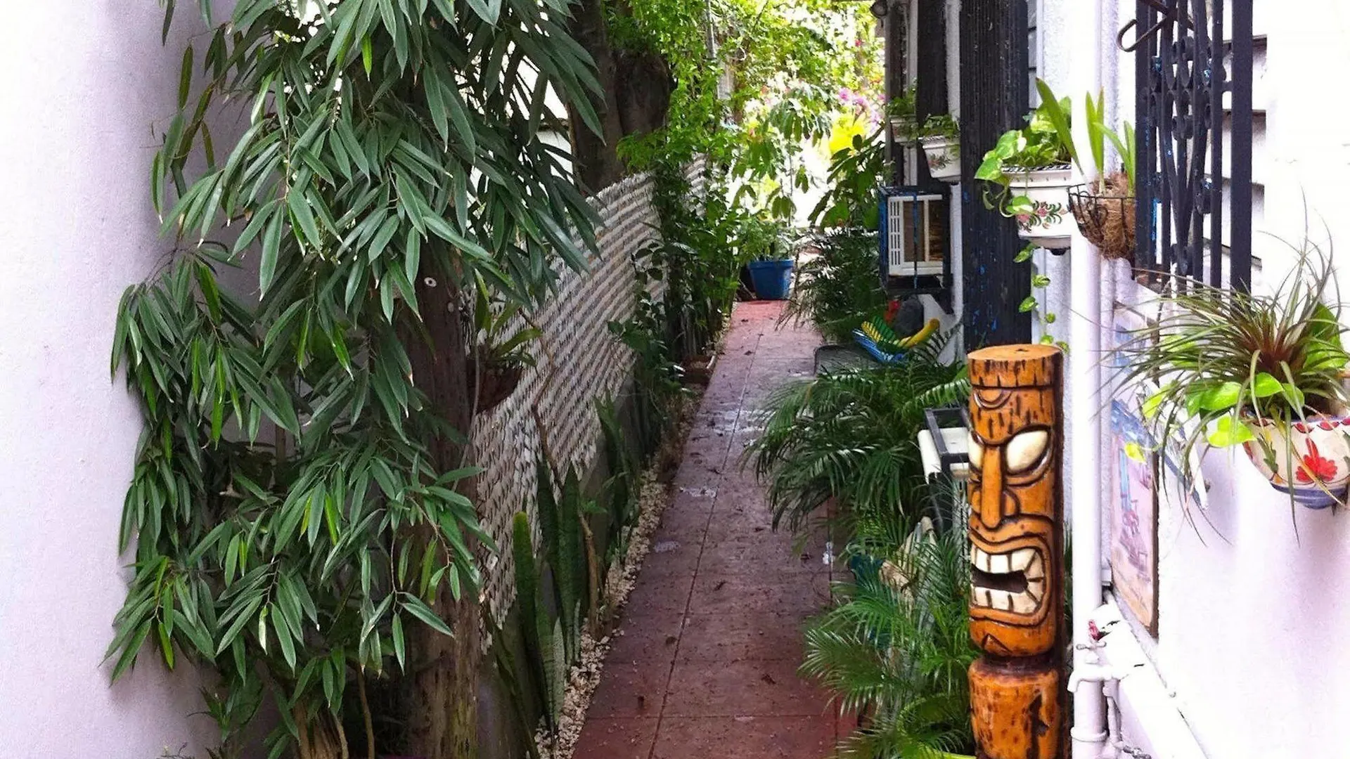Studio With Modern Amenities, Walk-In Shower, Jacuzzi, Beach, And Pool, (Adults Only) San Juan