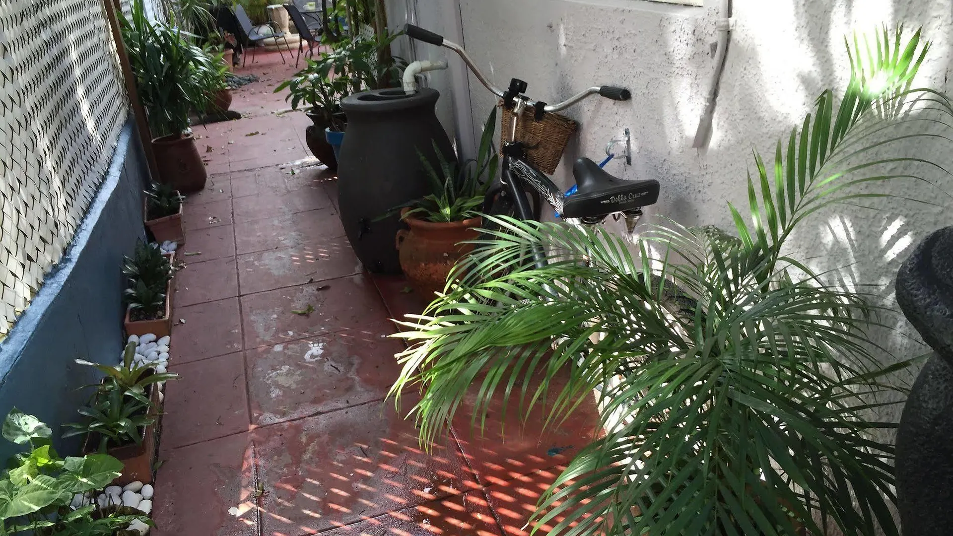 Studio With Modern Amenities, Walk-In Shower, Jacuzzi, Beach, And Pool, (Adults Only) 0*, San Juan Puerto Rico